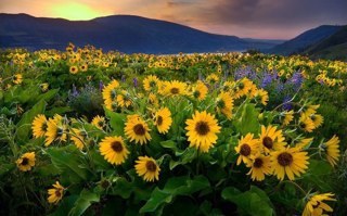 pfreeman2010's profile picture. 