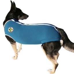 #VeterinaryProtectivePet Clothing. PostSurgical, In Dermatology, Oncology, Heat! Septic, Anti-bacterial&anti-allergic! Made in the USA&Europe! No more collars!