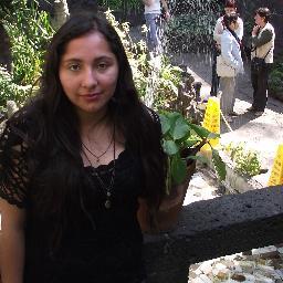 Estudiante de Medicina -
Universidad de la Frontera