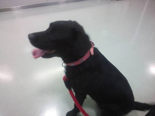 plum_cherry's profile picture. ソフトボールの公式記録員をやってます。