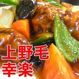 東京都世田谷区上野毛駅の近くの中華料理店です。出前（電話 03-3701-5198）が中心ですが、店内カウンター席でのお食事もできます。ご来店をお待ちしております。