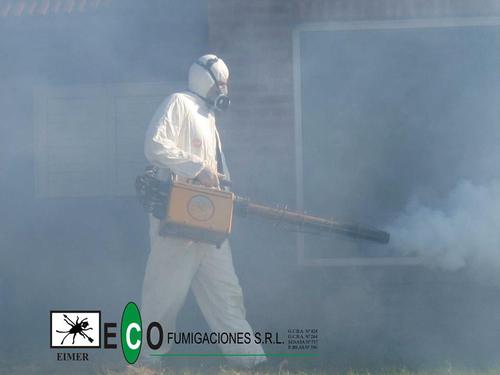 Eco fumigaciones, una empresa de control de plagas con mas 70 años de experiencia.