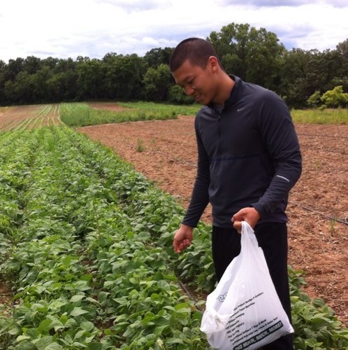 Badveggie's profile picture. 