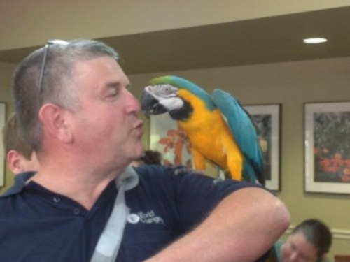 lrpowerplant's profile picture. 