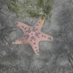 madscience_matt's profile picture. 