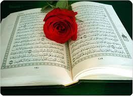 معلمة قرآن.بفضل الله..في جامعة الأميرة نورة+ معهد البيان سابقاً..محكِّمة في مسابقة الملك سلمان .. ومسابقة أمير منطقة الرياض..🌹