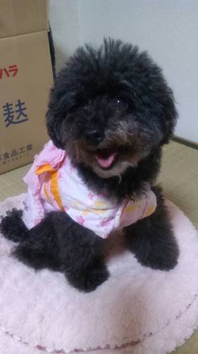 M2wPnsc's profile picture. わかたけでございます←