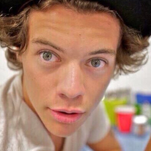 follow me on @stylesdirtyhips ilysm.