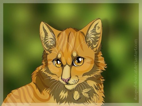 evil bad cat/ nice good pure cat no famaly all murderd lifeheart/deathheart theme chronicles of life and death good carrolatte