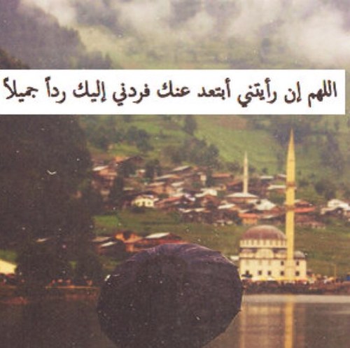 {وَذَكِّرْ فَإِنَّ الذِّكْرَى تَنْفَعُ المُؤْمِنِينَ} . .
