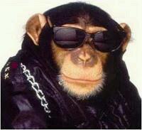 xsyaf's profile picture. hanya monyet yang tau