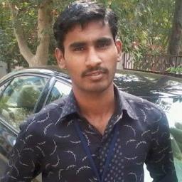 Software Developer