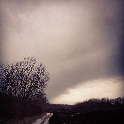 themeadowsband's profile picture. https://t.co/A0sFH5H2LL.paint.stitch.cook.plant.communicate.