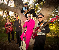 CtheMBand's profile picture. Perth-based cover band of 60s, 70s and 80s music available for functions.