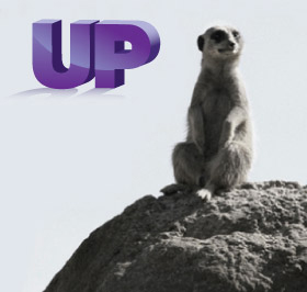 popUPshopsMelbourne is the voice of the pop up community in Melbourne, published as an on-line forum for sharing exciting news and popular views around pop ups