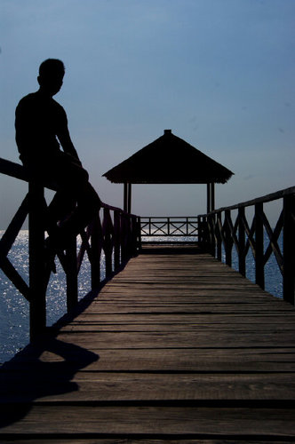 syarifhidtl's profile picture. data consultant