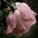 عنان حسين (@054Matr) Twitter