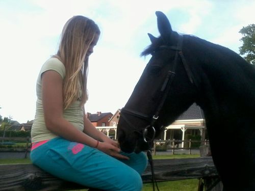 Follow Me, cola, Marlon 3, Melle! best paard ooit, familie, #12 single :)