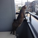 松下こーき (@052954) Twitter