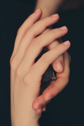 LBR1217's profile picture. 정리해요