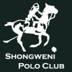 The Shongweni Polo Club. Horses, sticks, speed, friends, fun, and the greatest sport on earth!