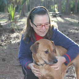 LilyLovesPets's profile picture. As an ever evolving entrepreneur I am lucky to be combining my love of animals with a successful start-up. Lived & worked all over. Finally feel like I am home.