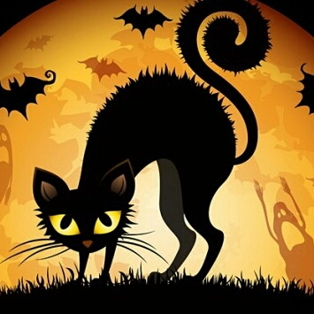 adri2706's profile picture. Dicen que el destino decide quién entra en mi vida, pero yo decido quién se queda!!!!No discuto con peronchos ni fanaticos, solo con quien trabaja y estudia