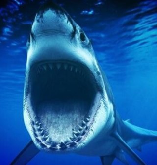 DigitalChaosLbp's profile picture. Account for the lbp band Digital Chaos we are looking for some more music creators in the band, if you're interested message rosscored1 for more details!