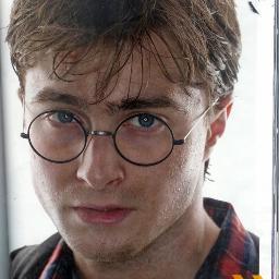 The name's Harry just Harry. some call me the golden boy. Seeker, Head of the DA.  Best friend to #Hermione #Ron  Enemy to some./HPRP/21+