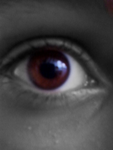 Elecodemo's profile picture. 