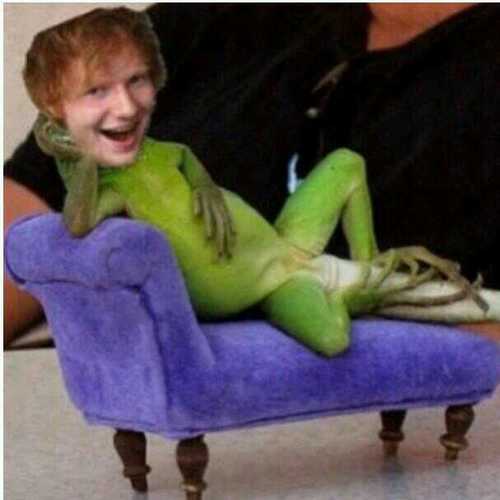 bullcrapED's profile picture. obsessed with ed xx