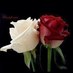 المستشار711 (@mmff777) Twitter profile photo المستشار711 (@mmff777) Twitter profile photo
