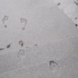 eskoster's profile picture. Irrational optimist.
Matter is recalcitrant. Sometimes diverting.