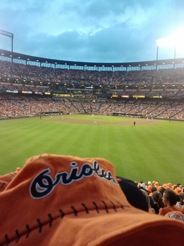 Art_Williamson's profile picture. 'Avid Orioles fan. Avid weight lifter. I fucking love the Orioles.' I came up with your twitter bio, said Ben.