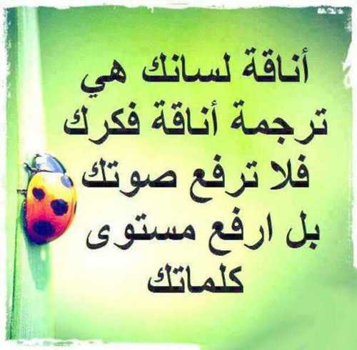 يسعدلي مساكم 💐💐