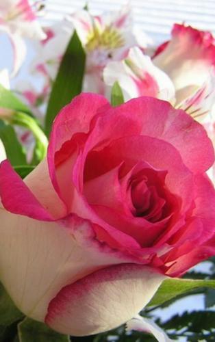 pasmahh05009049's profile picture. 