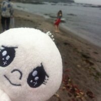 カズ(新潟市民) (@kazu_uo) Twitter profile photo