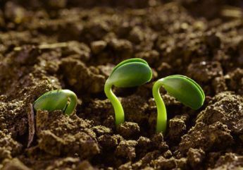 Un espacio crítico orientador y ético para la revolución agrícola en lo político, social y tecnológico de la agricultura de Venezuela.