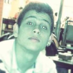 Se você obedece todas as regras, acaba perdendo a diversão. - Bob Marley