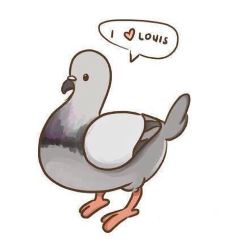 #crazymofos #directioner #vas_happenin' fanpage - 1D+Kevin follow my personal account too @gustllll