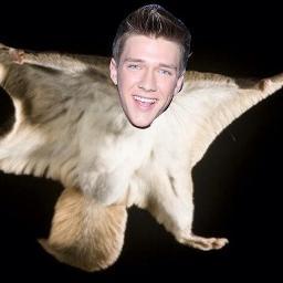 I am Collins the Flying Squirrel! Do you have any acorns for me? no? Okay..... Follow @CollinsKey