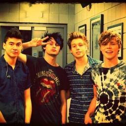 Luke Hemmings, Calum Hood, Ashton Irwin, Michael Clifford. That is all #5sosfam