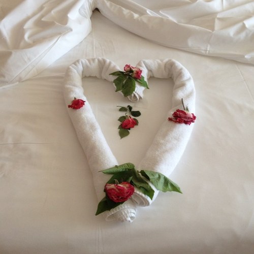 SWanitastamford's profile picture. 