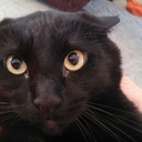 David Mortimer - @bigdogmortimer7 - Twitter