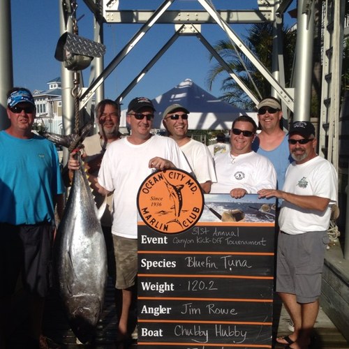 Retired Army Officer - Proud Parent of My Kids - Enjoy Sports and Offshore Fishing