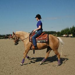 American Quarter Horse owner and western rider based in Cumbria