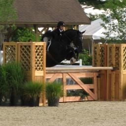 #Ontario #Equestrian #Canadian   Eq anon island