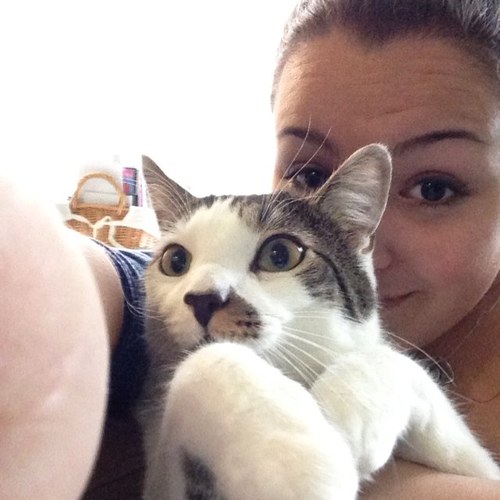 AmanduhPlzz's profile picture. If you want to make an apple pie from scratch, you must first invent the universe.