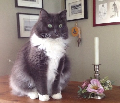 fabutton's profile picture. ❤️Skies & Ocean. There’s only now.