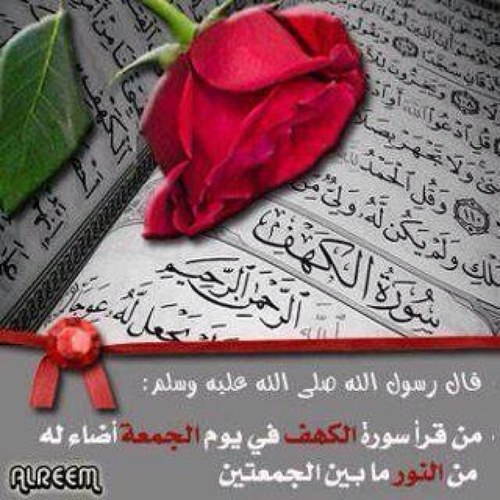 هنـاك مـا يستحق القراءة لذلك أنـا هنـا ..
